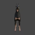 Realistic Doberman 3D Model With Black And Tan Coat Standing Pose 3d model