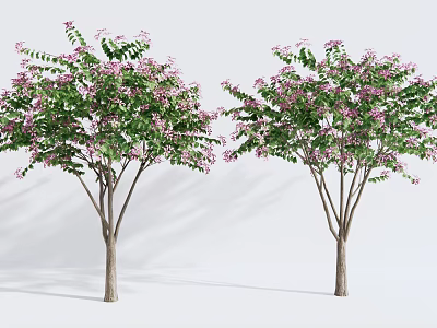 Two Arbor Trees With Green Leaves And Pink Flowers In Bloom 3d model