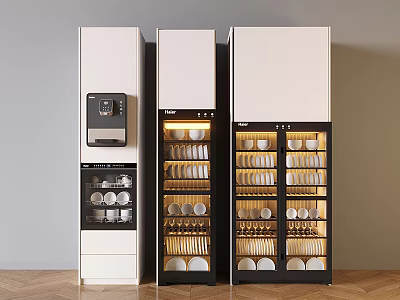 Modern Vertical Kitchen Appliances With Glass Doors Built In Dish Storage And White Finish 3d model