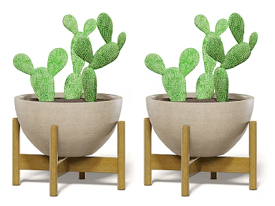 Decorative Cactus Potted Plants In Beige Pots With Wooden Stands 3d model
