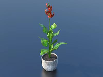 Beautiful Bonsai Potted Plant with Red Flowers and Green Leaves in Gray Concrete Pot 3d model