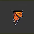 Butterfly Shaped Chair With Orange Black Wings And Metal Legs Design