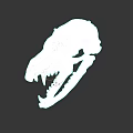 Detailed Animal Skull Skeletal Structure With Sharp Teeth Isolated On Dark Background