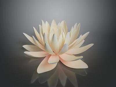 Elegant Light Pink Lotus Flower With Delicate Creamy Petals And Dark Background Reflection 3d model