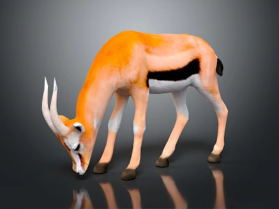 Orange white antelope with long horns black patches lowering head on dark surface reflection 3d model
