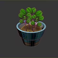 Green Potted Plant With Fresh Leaves In Blue Flower Patterned Pot With Orange Stripes