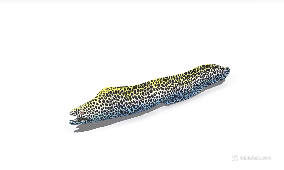 Leopard Spotted Moray Eel With Slender Body And Open Mouth 3d model 