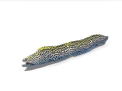 Leopard Spotted Moray Eel With Slender Body And Open Mouth 3d model