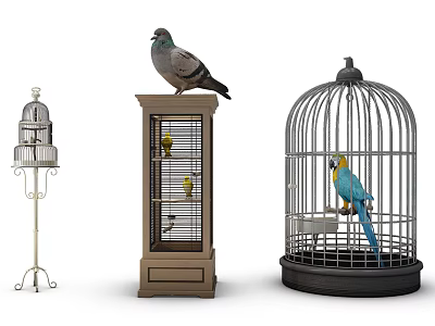 Decorative Ornament Set Including White Birdcage Stand Pigeon Wooden Cabinet Black Birdcage and Blue Parrot 3d model