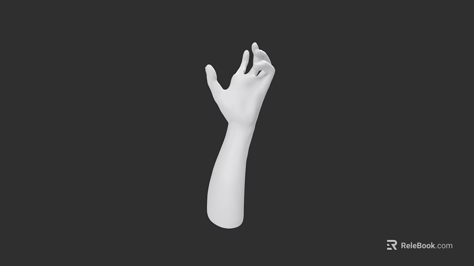 White Human Arm And Hand Model With Detailed Fingers On Black Background 3d model 