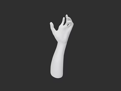 White Human Arm And Hand Model With Detailed Fingers On Black Background 3d model