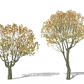 Modern Tree Fatong Landscape Tree 3d model