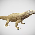 Komodo dragon lizard reptile 3d model