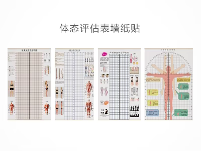 Detailed Posture Assessment Chart Wall Stickers With Human Body Analysis Forms 3d model