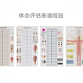 Detailed Posture Assessment Chart Wall Stickers With Human Body Analysis Forms