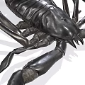 Realistic Black Scorpion Reptile With Shiny Exoskeleton Claws And Tail