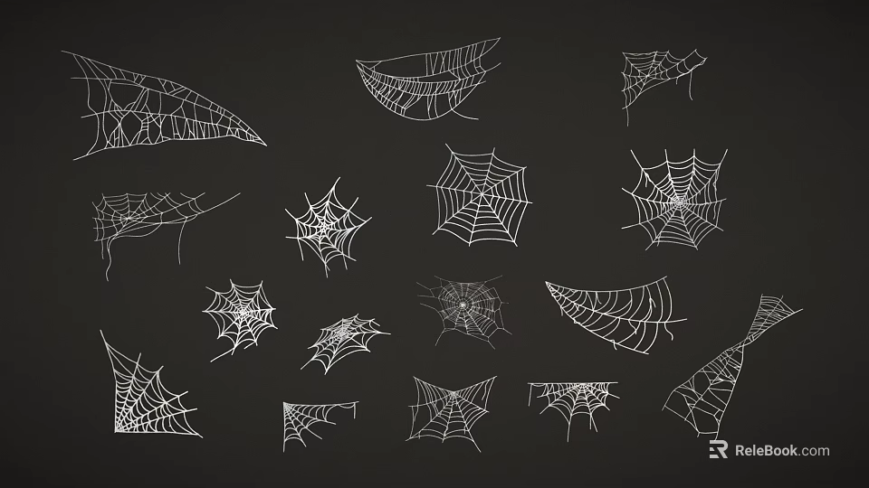 Different Spider Web Designs In White Lines On Black Background 3d model 