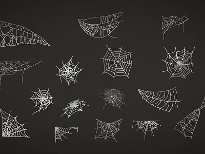 Different Spider Web Designs In White Lines On Black Background 3d model
