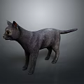 Realistic Black Cat 3D Render With Standing Pose On Gray Background 3d model