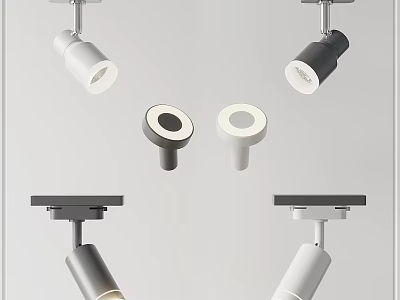 Modern Downlights And Spotlights With Sleek Design In Various Colors For Home Lighting 3d model