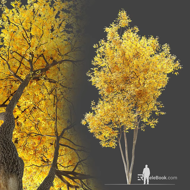 Golden Autumn Arbor With Lush Yellow Leaves And Tall Trunk Structure 3d model 