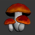 Three Shiny Red Vegetable Mushrooms With White Spots And Dark Background Reflection