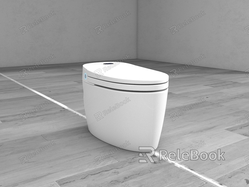 Toilet Toilet model