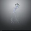 Glowing Jellyfish Swimming In Dark Background With Transparent Body And Long Purple Blue Tentacles