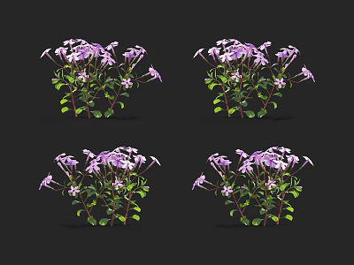 Purple Flower Plants With Green Leaves Isolated On Black Background 3d model