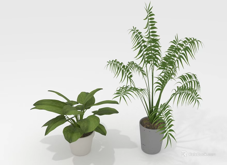 Home Decorative Green Plants with Wide Leaves and Long Fronds in White and Gray Pots 3d model 