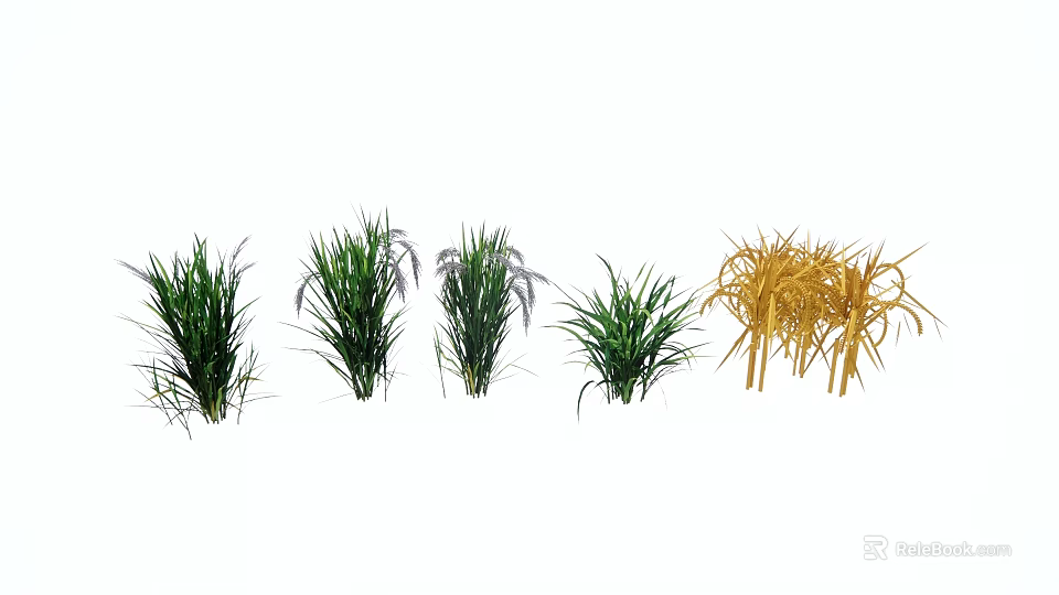 Garden Landscape Featuring Diverse Green And Golden Ornamental Grasses 3d model 