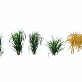 Garden Landscape Featuring Diverse Green And Golden Ornamental Grasses