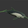 Origami Dolphin Model In Blue And White With Sleek Design And Reflective Surface
