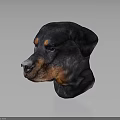 Rottweiler Head Sculpture With Black And Tan Coat On Gray Background