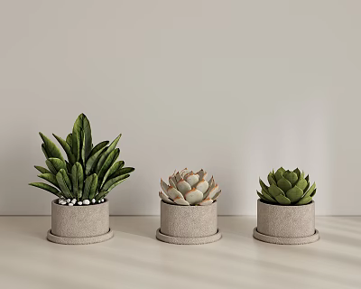 Plant Combination With Green Leafy And Succulent Plants In Concrete Pots Against Light Colored Wall 3d model
