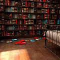 Room Interior With Full Bookshelves And Scattered Books On Floor And Bed