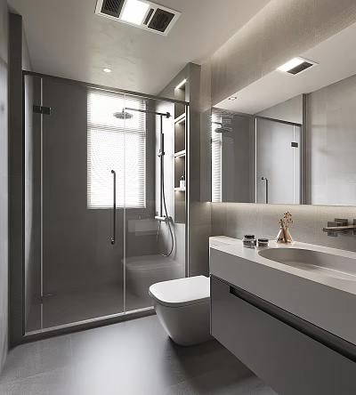 Modern Bathroom Interior Design With Glass Shower Enclosure White Toilet And Vanity With Mirror 3d model