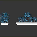 Colorful Blue Pink Green Plants in White Black Square Rectangular Containers