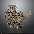 Coral Polyps Marine Animal With Brown Branching Skeleton Natural Structure