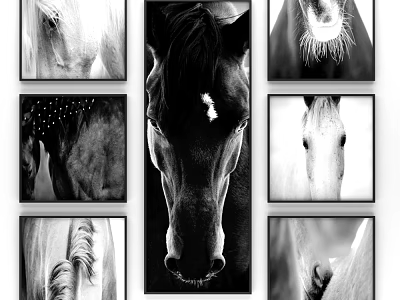 Black And White Horse Paintings With Multiple Head Portraits As Wall Decor Art 3d model