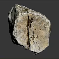 Natural Wooden Stone Displaying Surface Cracks Mossy Details and Rustic Organic Texture