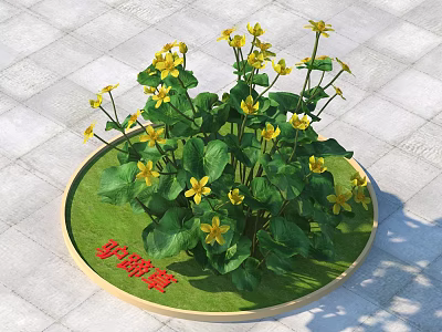 Caltha Palustris Potted Plant With Yellow Flowers And Green Leaves On Round Green Base 3d model