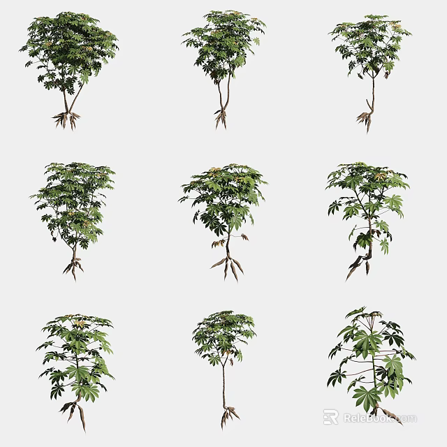 Healthy Crop Plants With Green Foliage And Root Systems In Rows 3d model