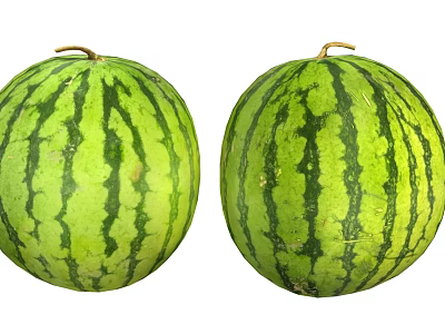 Two Fresh Ripe Green Striped Whole Watermelon Healthy Summer Fruits 3d model