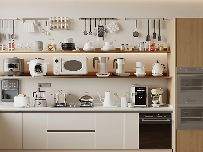Modern Kitchen Interior Design With Organized Shelves Countertop And Various Kitchen Appliances 3d model