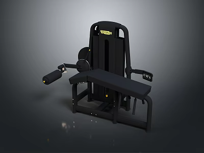 Black Home Fitness Equipment With Heavy Duty Structure And Modern Design Features 3d model