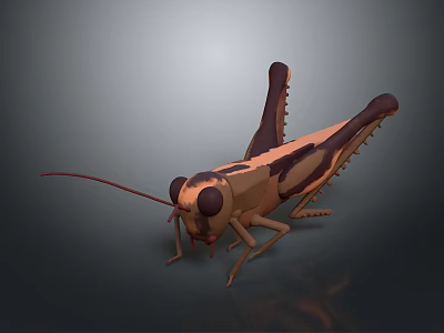 3D Grasshopper Character Model With Low Poly Design And Detailed Legs Antenna 3d model