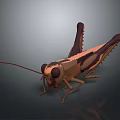 3D Grasshopper Character Model With Low Poly Design And Detailed Legs Antenna 3d model