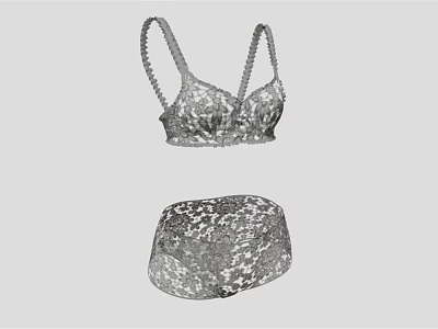 Elegant Women's Lace Lingerie Set with Bra and Panty Delicate Floral Design 3d model