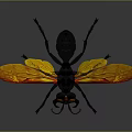 Realistic Black Toy Insect With Orange Yellow Wings And Yellow Eyes For Kids